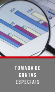 Rausch Mainenti - Áreas de Atuação - Tomada de Contas Especiais - pt